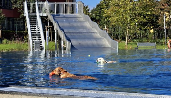 Besucherrekord in der Ohase - Das Freibad Bersenbrück